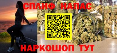 стаф Новозыбков