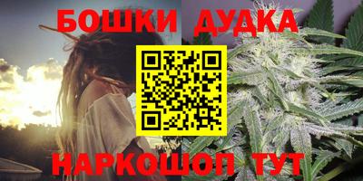 стаф Новозыбков