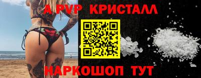 стаф Новозыбков